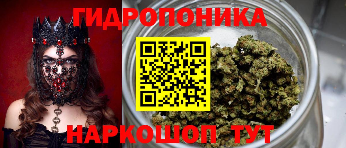 Канабис план  Конопля MAZAR  Шишки марихуана Amnesia  Вход с VPN  Шишки марихуана LSD WEED  Псков 